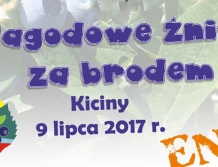 ZABRODZIE: Jagodowe żniwa tuż-tuż