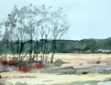 Wystawa akwareli