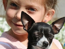 Pochwalili się swoimi pupilami (foto)
