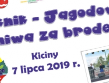 ZABRODZIE: Jagodowe żniwa w Kicinach
