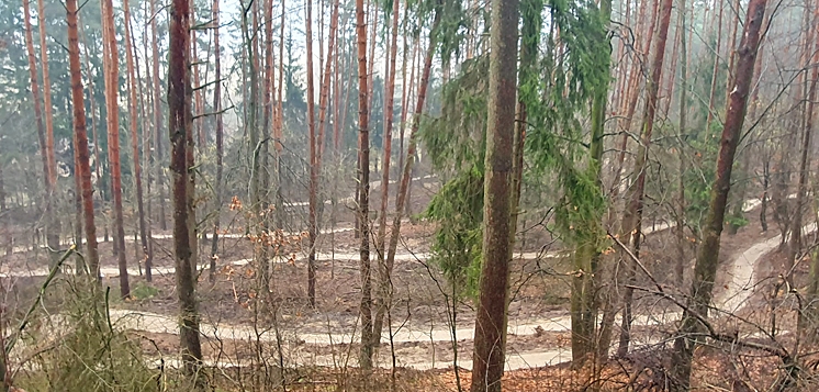 RZĄŚNIK: Tak się jeździ po leśnej ścieżce rowerowej single track (WIDEO, FOTO)