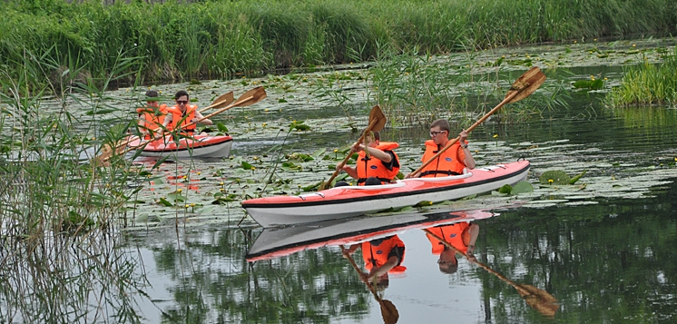 Stowarzyszenie Włościańska podsumowuje projekt „Aktywnie i twórczo” (FOTO)