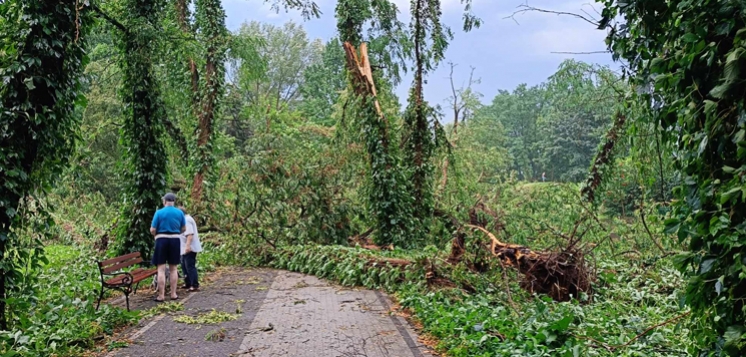 Nawałnica przeszła przez Wyszków. Najbardziej ucierpiał park miejski (FOTO)