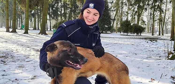 Kolejny czworonożny funkcjonariusz wyszkowskiej policji