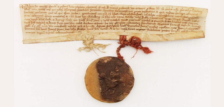 materialy/info/med1/16508.jpg
