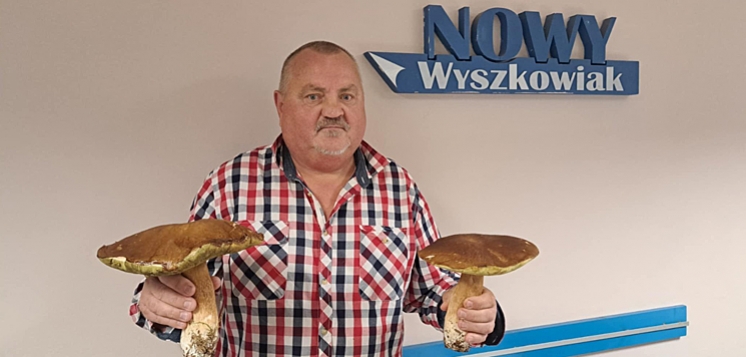 Taaaakie grzybobranie (FOTO)