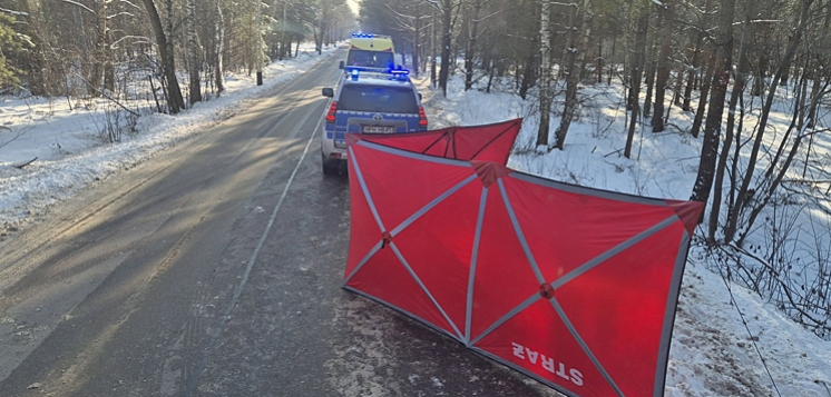 Śmierć na drodze. Życia mężczyzny nie udało się uratować