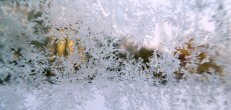 Kobieta mieszkała w fatalnych warunkach. Zareagowali policjanci i pracownicy OPS