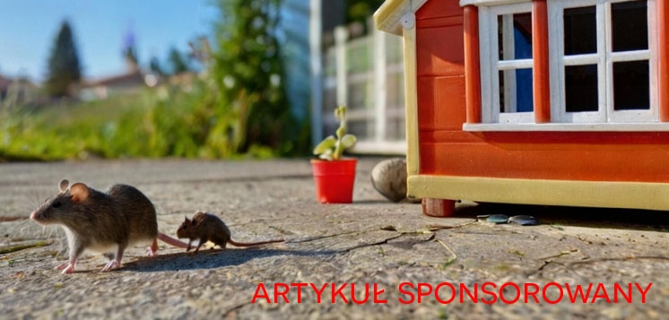 Ekologiczne odstraszanie szczurów z posesji dzięki polskim urządzeniom Viano