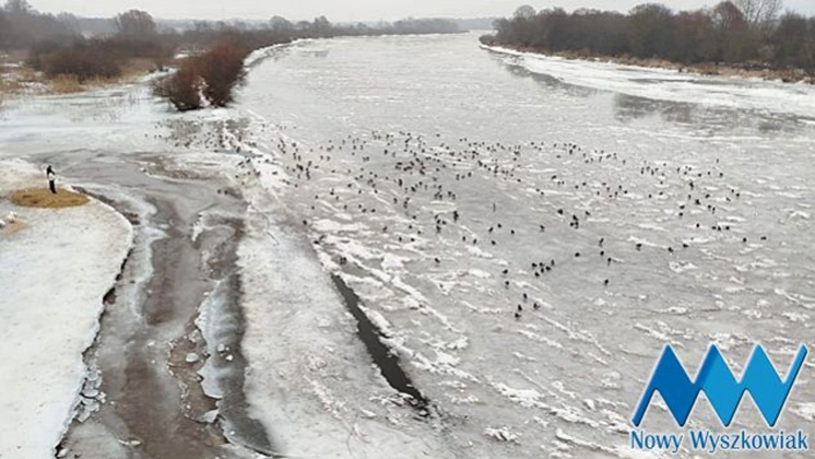 Przyszła odwilż. Służby monitorują sytuację na Bugu (FOTO)