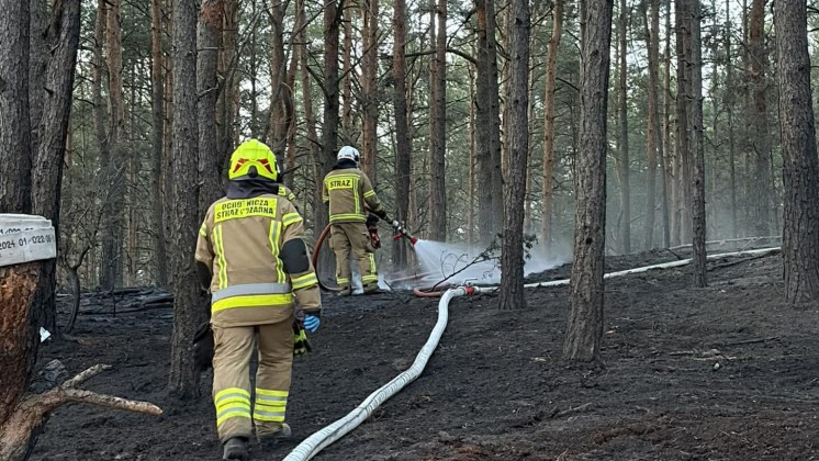 Pożary łąk i lasów. Jeden po drugim (FOTO)