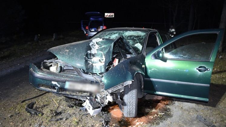 Kierowca pijany, bez prawa jazdy zatrzymał się na drzewie (FOTO)