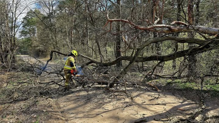 Silnie wiało, wieje i ma wiać (FOTO)