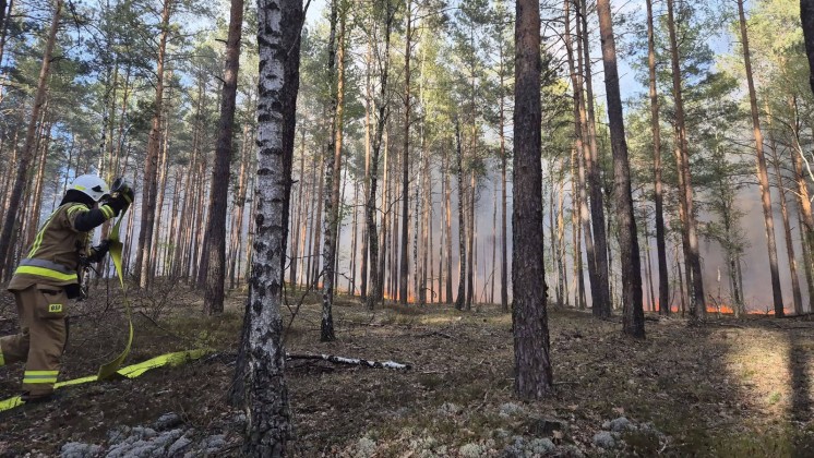 Pożar lasu w Fideście (FOTO)