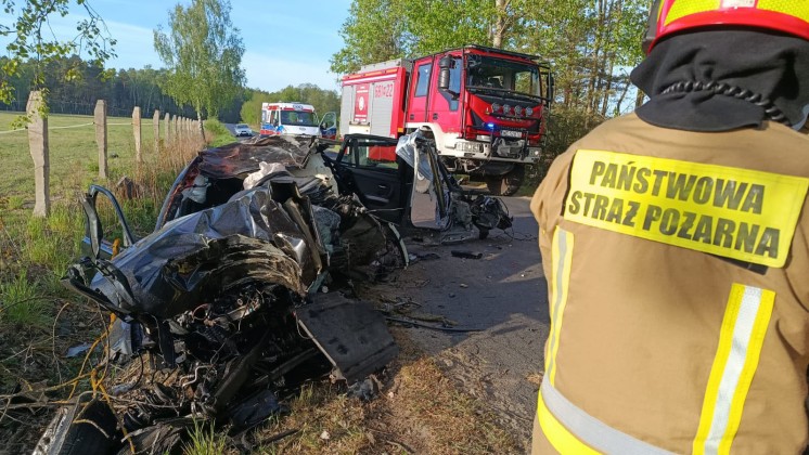 Wypadek w Przykorach. Auto zderzyło się z łosiem (FOTO) [AKTUALIZACJA]