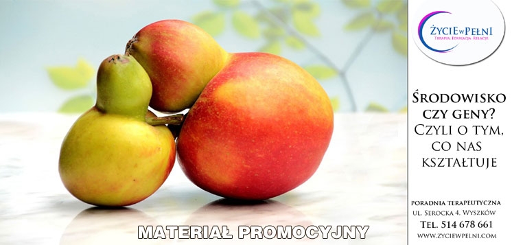 materialy/info/med1/6170.jpg