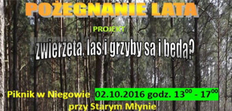 materialy/info/med1/846.jpg