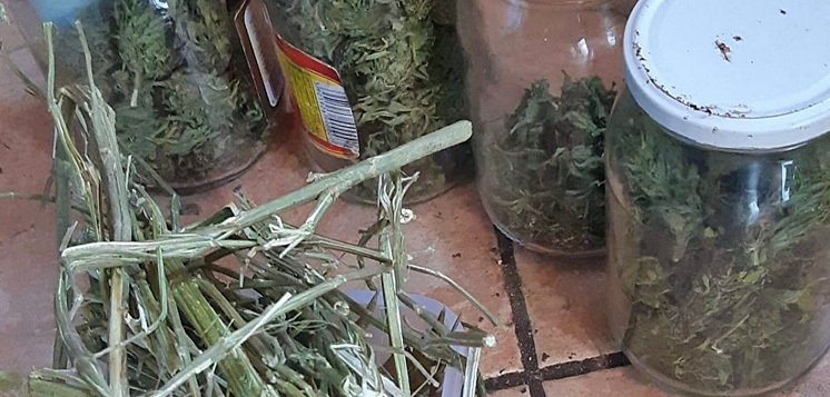 Zatrzymany za posiadanie znacznej ilości narkotyków