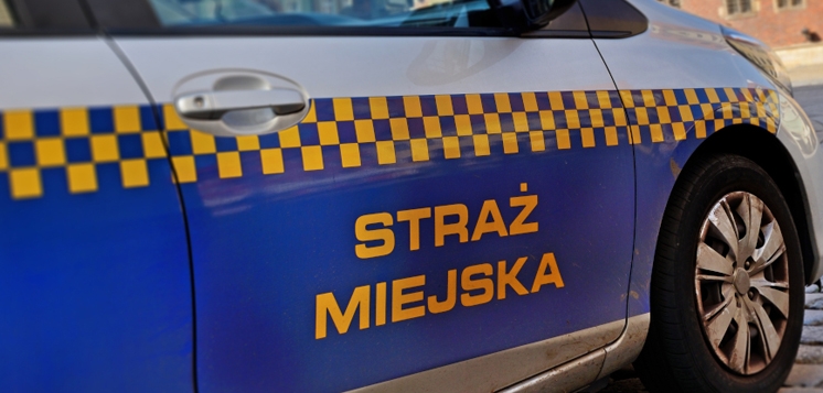 materialy/info/med1/9208.jpg