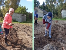 „Biedronki” w gospodarstwie (FOTO)