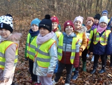 Jesienny spacer po lesie (FOTO)