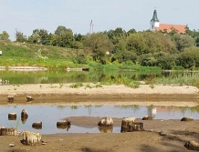 Poziom wody w Bugu coraz niższy (FOTO)