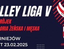 SIATKÓWKA: Rusza V edycja Volley Ligi