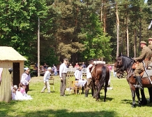 Dwudziesty Dzień Konia w Gulczewie (FOTO)