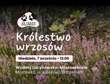 ZABRODZIE: Na tropie przyrody. Fioletowe królestwo wrzosów