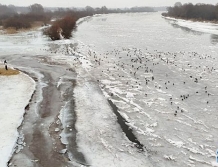 Przyszła odwilż. Służby monitorują sytuację na Bugu (FOTO)