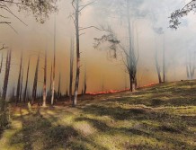 Duży pożar pod Wyszkowem (FOTO) [AKTUALIZACJA]