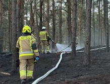 Pożary łąk i lasów. Jeden po drugim (FOTO)