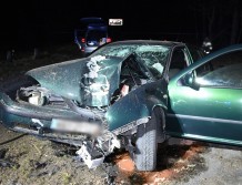 Kierowca pijany, bez prawa jazdy zatrzymał się na drzewie (FOTO)