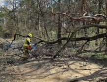 Silnie wiało, wieje i ma wiać (FOTO)