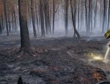 Strażacy z powiatu wyszkowskiego w akcji gaszenia pożaru w pod Wołominem (FOTO)