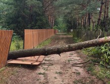 Nocna nawałnica. Połamane drzewa i brak prądu