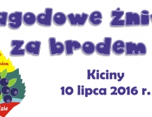 ZAPRASZAMY: Jagodowe żniwa za brodem