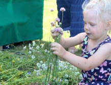 RZĄŚNIK: "Powitanie lata – Wianki 2019" (foto)