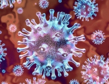 25 osób pod nadzorem epidemiologicznym