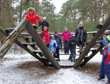 Białe Kruki wędrują po lesie (foto)