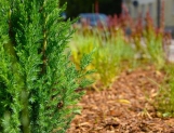W Wyszkowie powstał park kieszonkowy (FOTO) - Wydarzenia - zdjęcie 5
