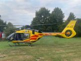 Buggy roztrzaskało się o drzewo. W środku czterech nastolatków - Wydarzenia - zdjęcie 2