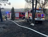 Pożary łąk i lasów. Jeden po drugim (FOTO) - Wydarzenia - zdjęcie 7