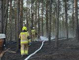 Pożary łąk i lasów. Jeden po drugim (FOTO) - Wydarzenia - zdjęcie 10