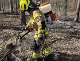 Pożary łąk i lasów. Jeden po drugim (FOTO) - Wydarzenia - zdjęcie 12