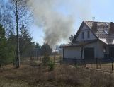 Pożary łąk i lasów. Jeden po drugim (FOTO) - Wydarzenia - zdjęcie 13