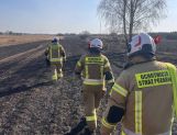 Pożary łąk i lasów. Jeden po drugim (FOTO) - Wydarzenia - zdjęcie 21