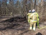 Pożary łąk i lasów. Jeden po drugim (FOTO) - Wydarzenia - zdjęcie 23