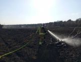 Pożary łąk i lasów. Jeden po drugim (FOTO) - Wydarzenia - zdjęcie 24