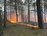 Paliło się: dom w Wyszkowie i las w Gminie Zabrodzie (FOTO) - Wydarzenia - zdjęcie 1